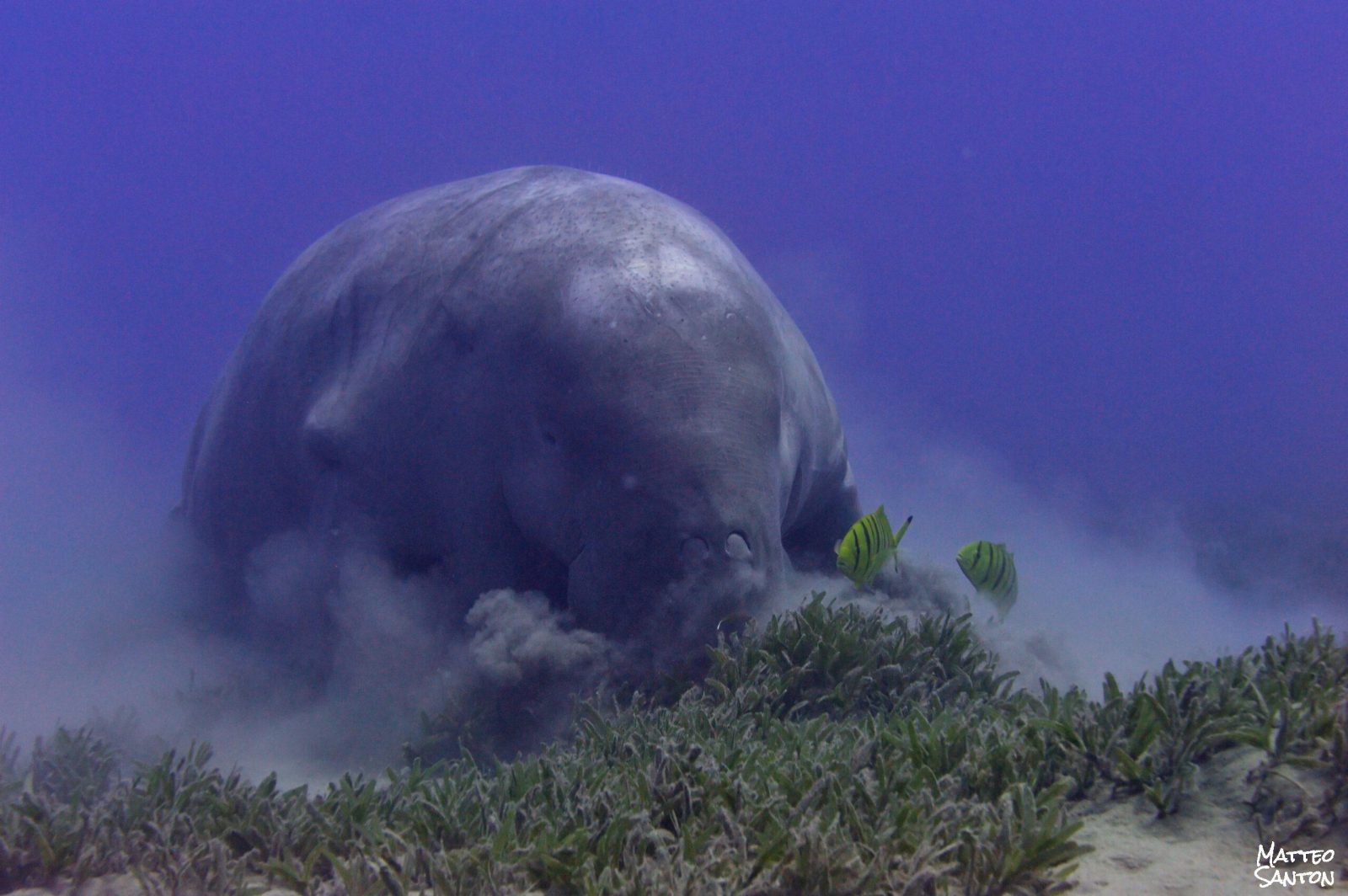 Matteo Santon – Image 2 Matteo Santon - Image 2